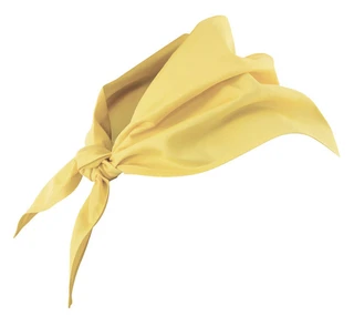 NECKERCHIEF