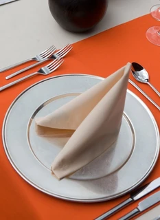 Napkin Arezzo Classic 50 x 50