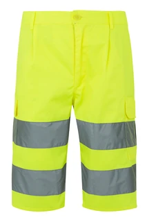 HV SHORTS 303005