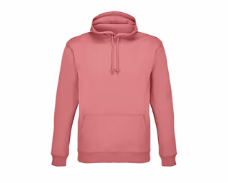 Unisex Condor Hooded Sweatshirt