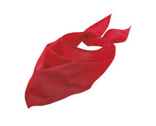 Bandana Sol's BANDANA