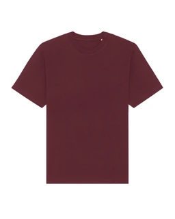 Unisex oversized T-shirt Freestyler