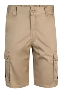 STRETCH SHORTS 103009S